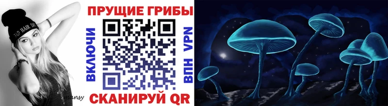 наркота  даркнет клад  Псилоцибиновые грибы Magic Shrooms  Опочка 